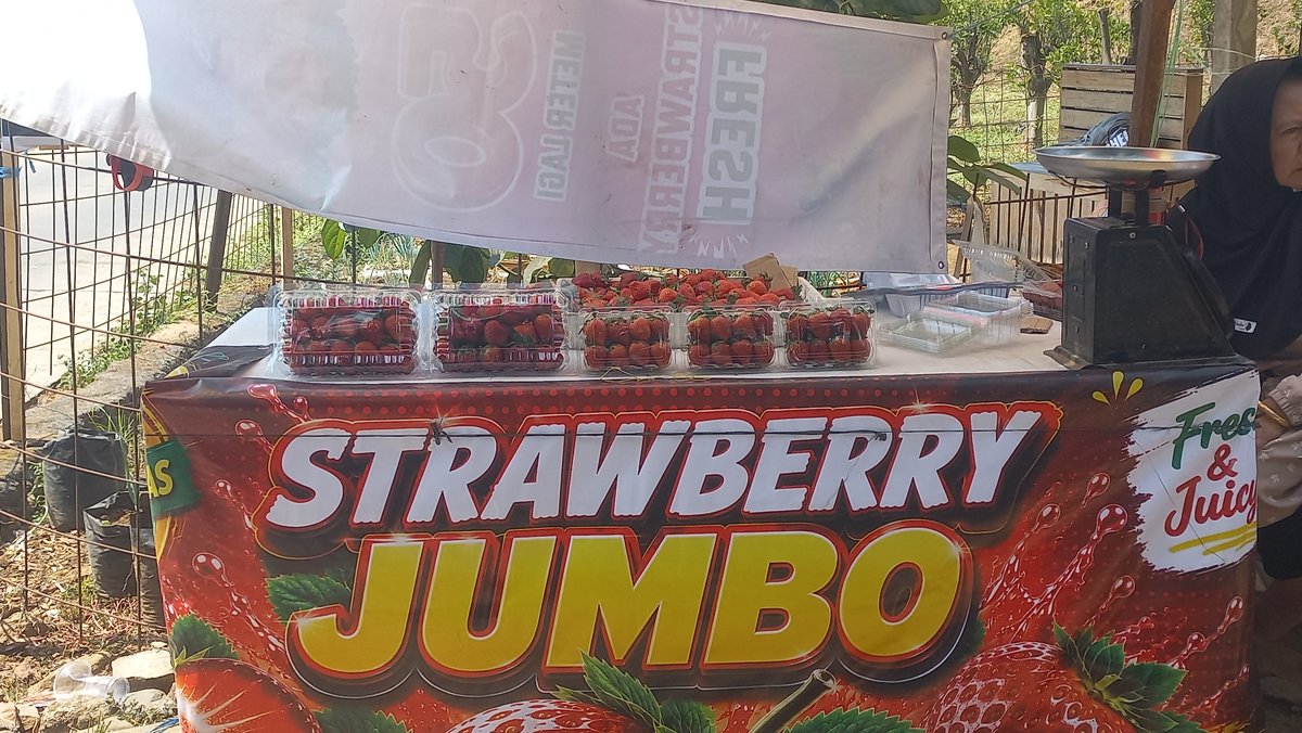 Strawberry Jumbo