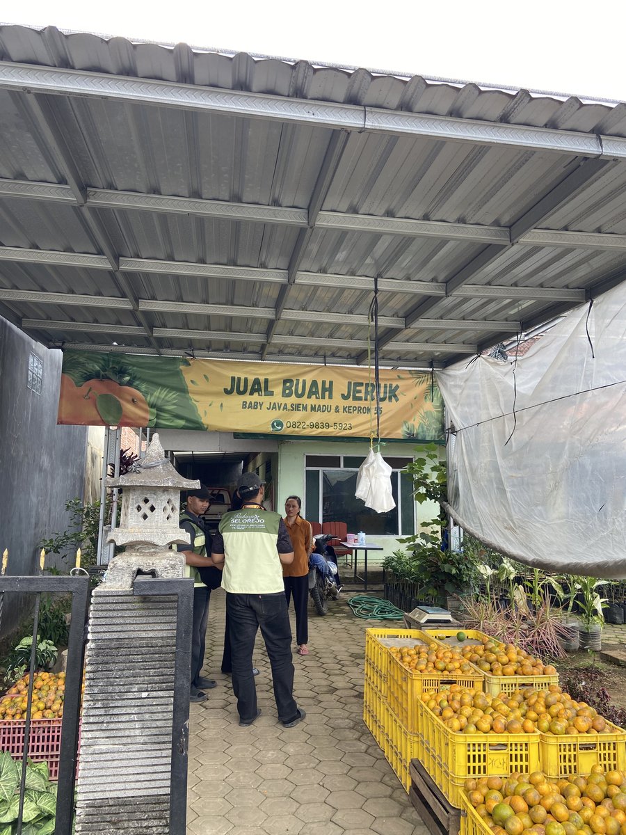 Toko Jual Jeruk