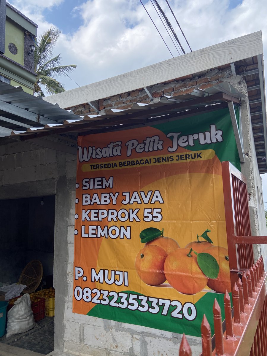 Wisata Petik Jeruk Pak Muji